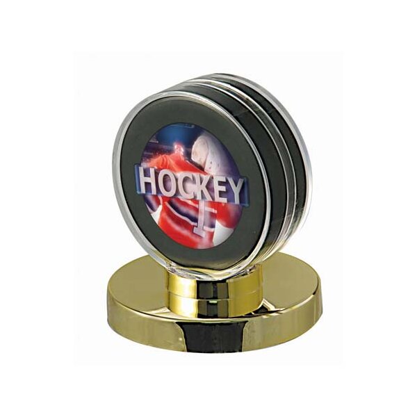 Gold Base Puck Display